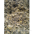 coptis rhizome benefits huang lian herb